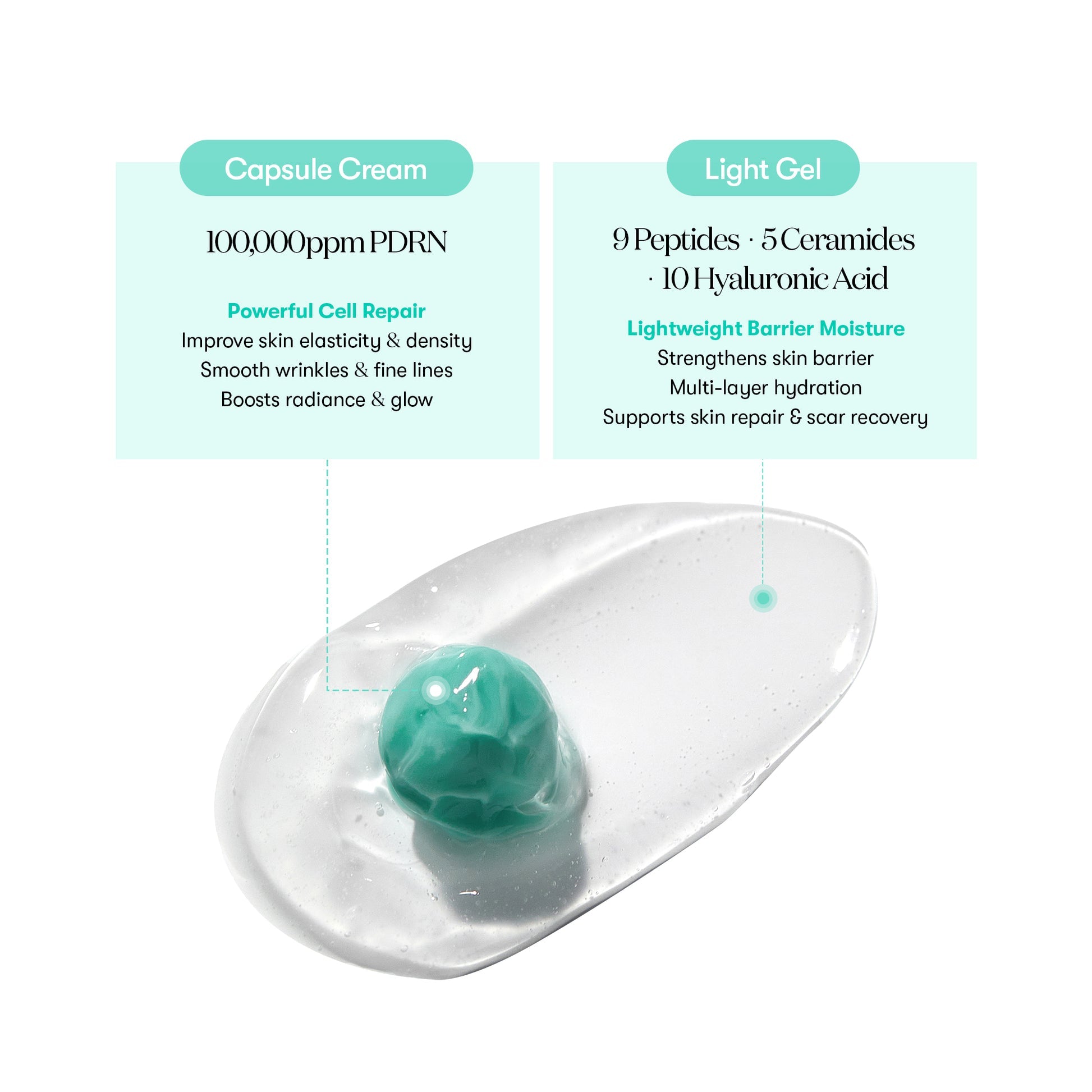 PDRN CAPSULE CREAM 100 50ml