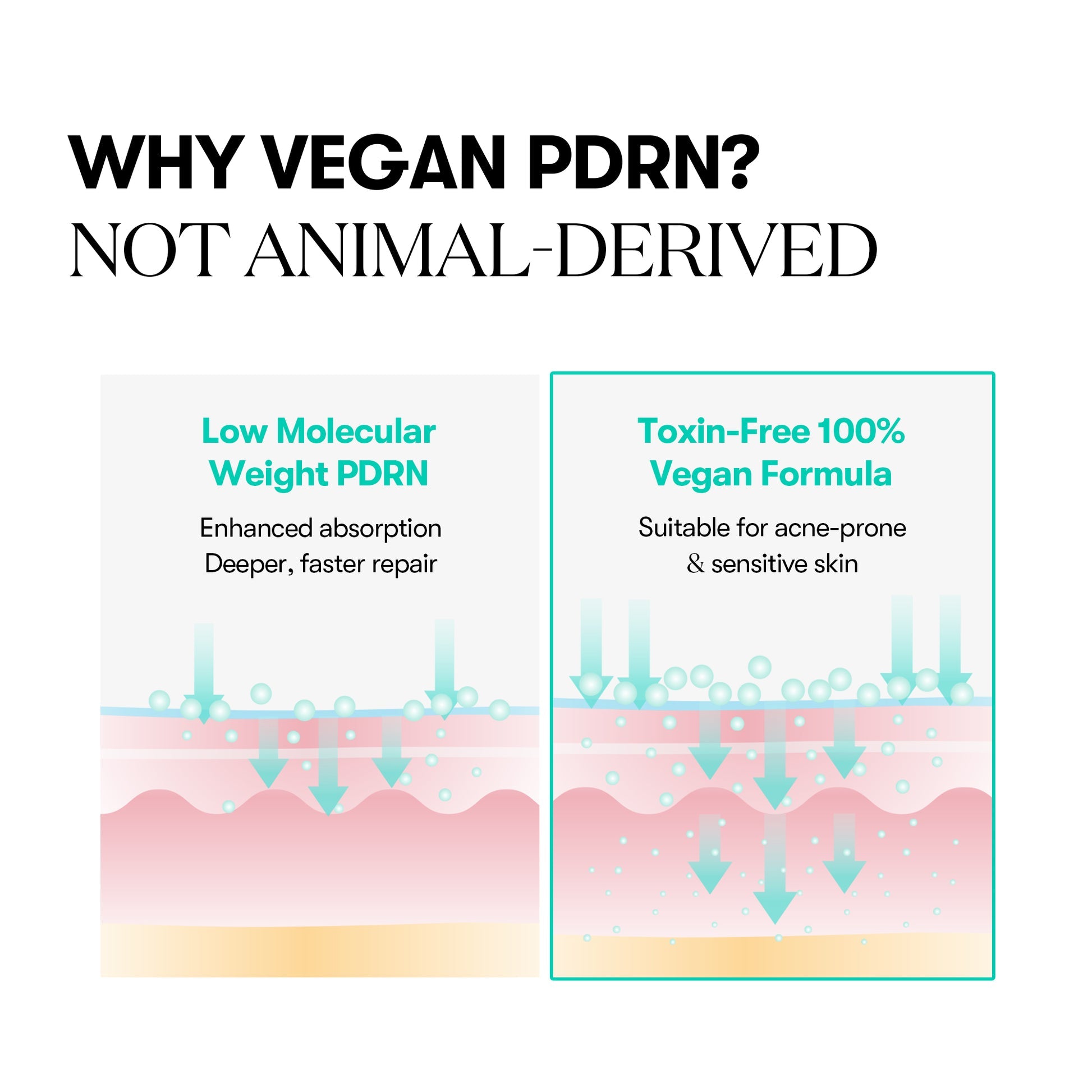 PDRN CAPSULE CREAM 100 50ml
