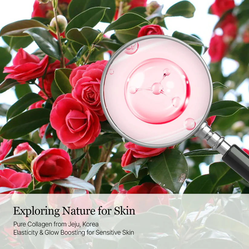 Collagen product with magnifying glass over red flowers, emphasizing natural ingredients.